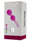 Вагінальні кульки Adrien Lastic Geisha Lastic Balls Mini Pink (AD40431)