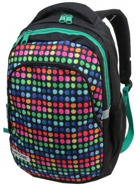 Молодіжний рюкзак Paso 18 л Різнобарвний (00-699PAN)