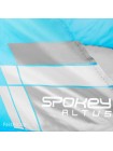 Намет пляжний Spokey Altus 195x100x85 см Сіро-блакитний