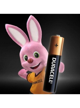 Лужні батарейки Duracell AAA (LR03) MN2400 Basic 2 шт