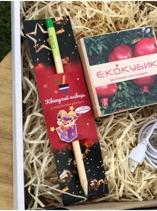 Новорічний подарунковий набір від Екокубика