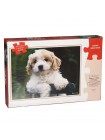 Пазли Melissa&Doug "Цуценята" 30 елементів 38 х 28 см MD8923