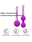 Набір вагінальних кульок Кегеля We Love Фіолетовий (purple_OL-KB04)