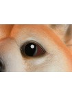 Дитяча іграшка на руку Same Toy Собака 13х14х14 см