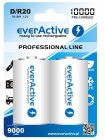 Акумулятор everActive D/HR20 10000 mAh BL 2 шт.
