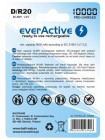Акумулятор everActive D/HR20 10000 mAh BL 2 шт.