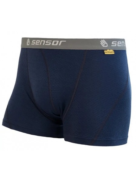 Чоловічі термотруси Sensor MERINO DF L Синій