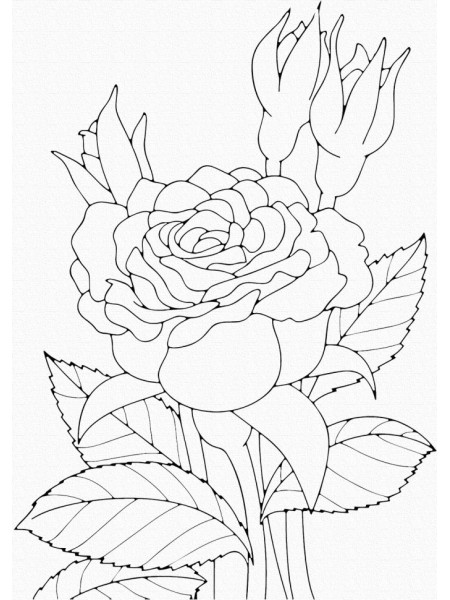 Розпис на полотні Art Craft Троянда 25х30 см 15505-AC