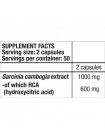 Комплексний жироспалювач BioTechUSA HCA 100 Caps