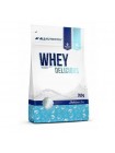 Протеин All Nutrition Whey Delicious 700 g /23 servings/ Wild Strawberry Ice Cream