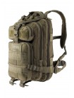 Рюкзак тактичний Magnum Fox 25 л Olive-Green FT.020.11-FX-GRN