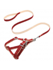 Шлея для собак з повідцем Pipitao Cage 1.5*120 см Red (8918-35857)