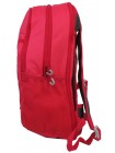 Жіночий спортивний рюкзак із дощовиком Crivit 17L IAN398768 рожевий