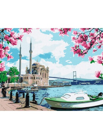 Картина за номерами "Яскравий Стамбул" Ідейка KHO2757 40х50 см