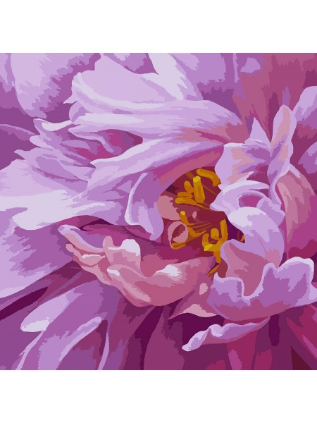 Картина за номерами SANTI Рожева феєрія 40*40 см (954430)