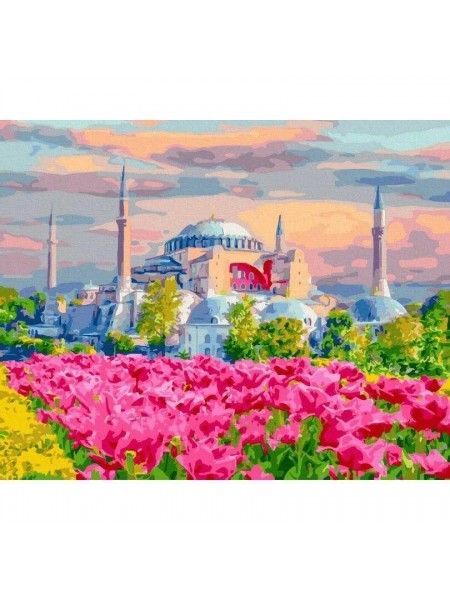 Картина за номерами Стамбульські квітучі поля Rainbow Art (GX45103)