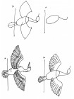 Скетчбук для малювання 4Profi "Путечуємо з Даринкою" Птахи формат А5 905294