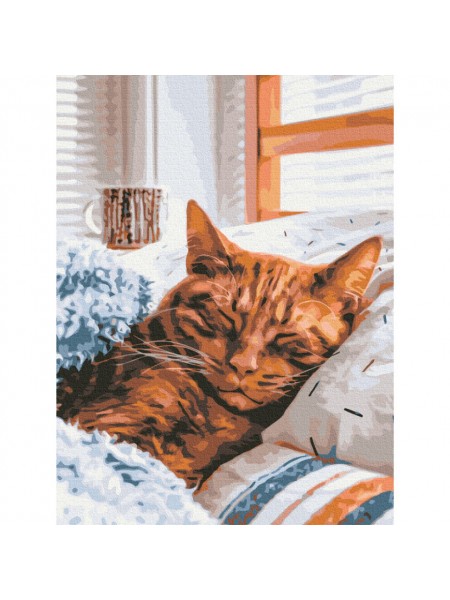 Картина за номерами "Ранкова котик" Brushme RBS52320 30х40 см