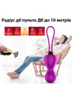 Вагінальні кульки з вібрацією та дистанційним керуванням USB Fox