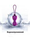 Вагінальні кульки з вібрацією та дистанційним керуванням USB Fox