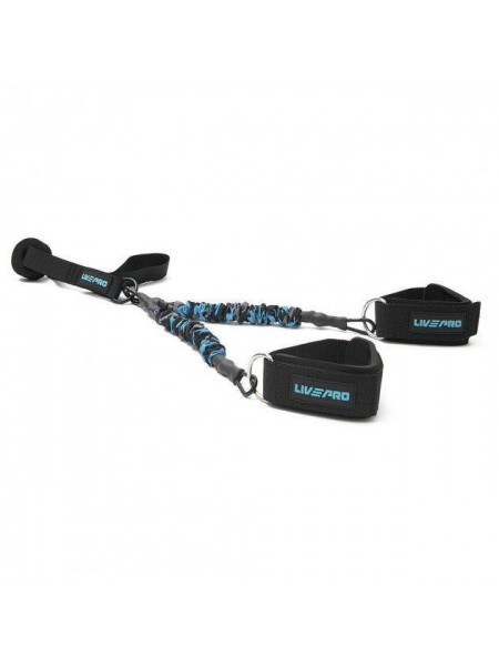 Еспандер LivePro MULTIFUNCTIONAL TRAINING синій 6x11x40см LP8427